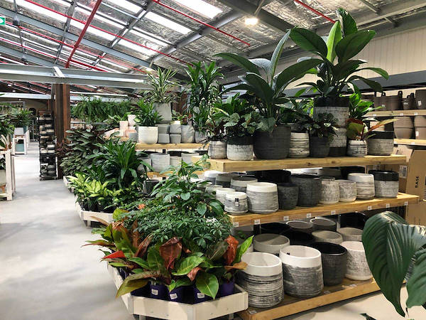 Новый садовый центр Flower Power