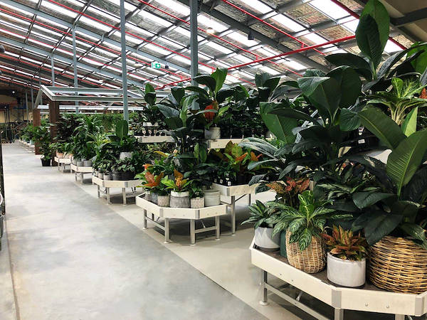 Новый садовый центр Flower Power