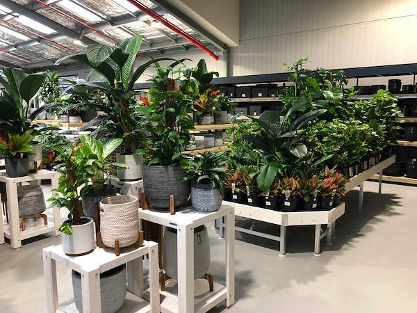 Новый садовый центр Flower Power