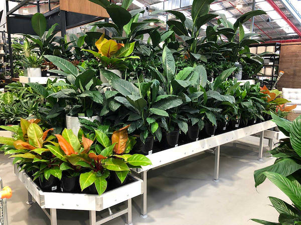 Новый садовый центр Flower Power