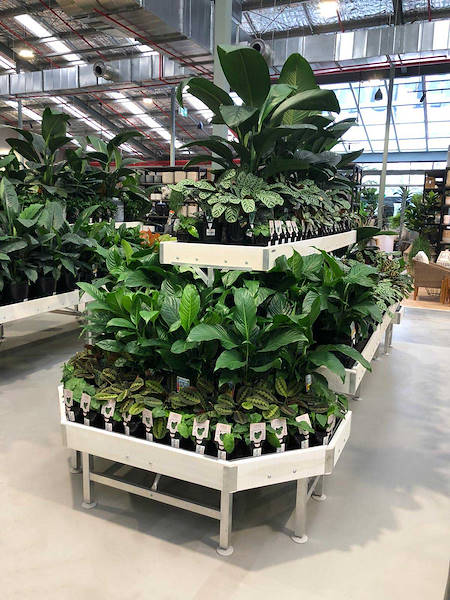 Новый садовый центр Flower Power