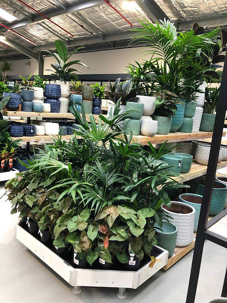 Новый садовый центр Flower Power