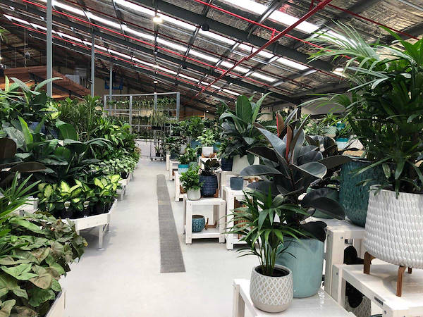 Новый садовый центр Flower Power