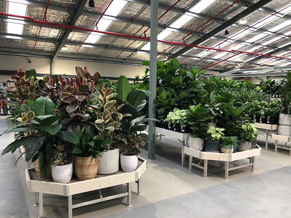 Новый садовый центр Flower Power