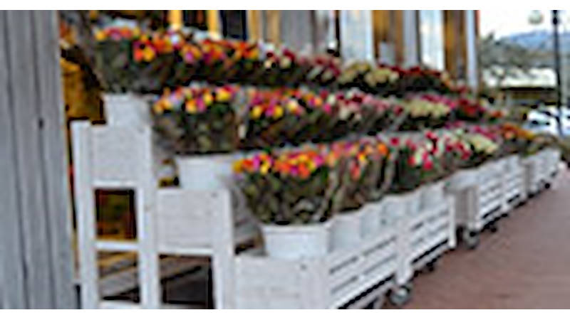 Flowershop “Fiori Fiori” – Borgo Buggiano