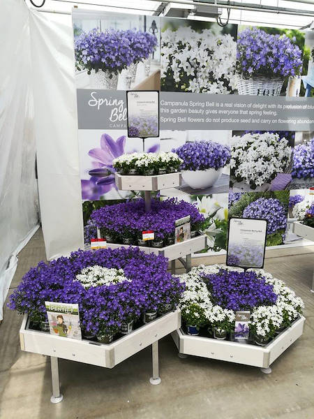 FlowerTrials 2018