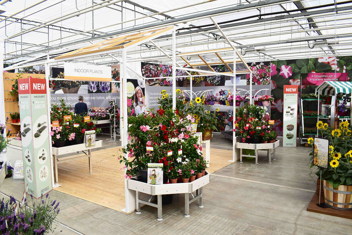 Теплица - Garden Center Identity