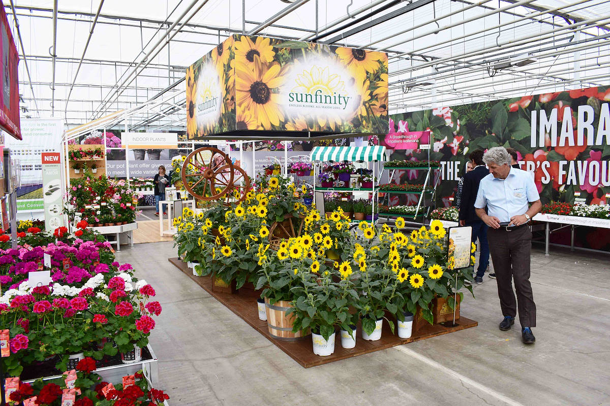 Персонализируемые сценографические острова