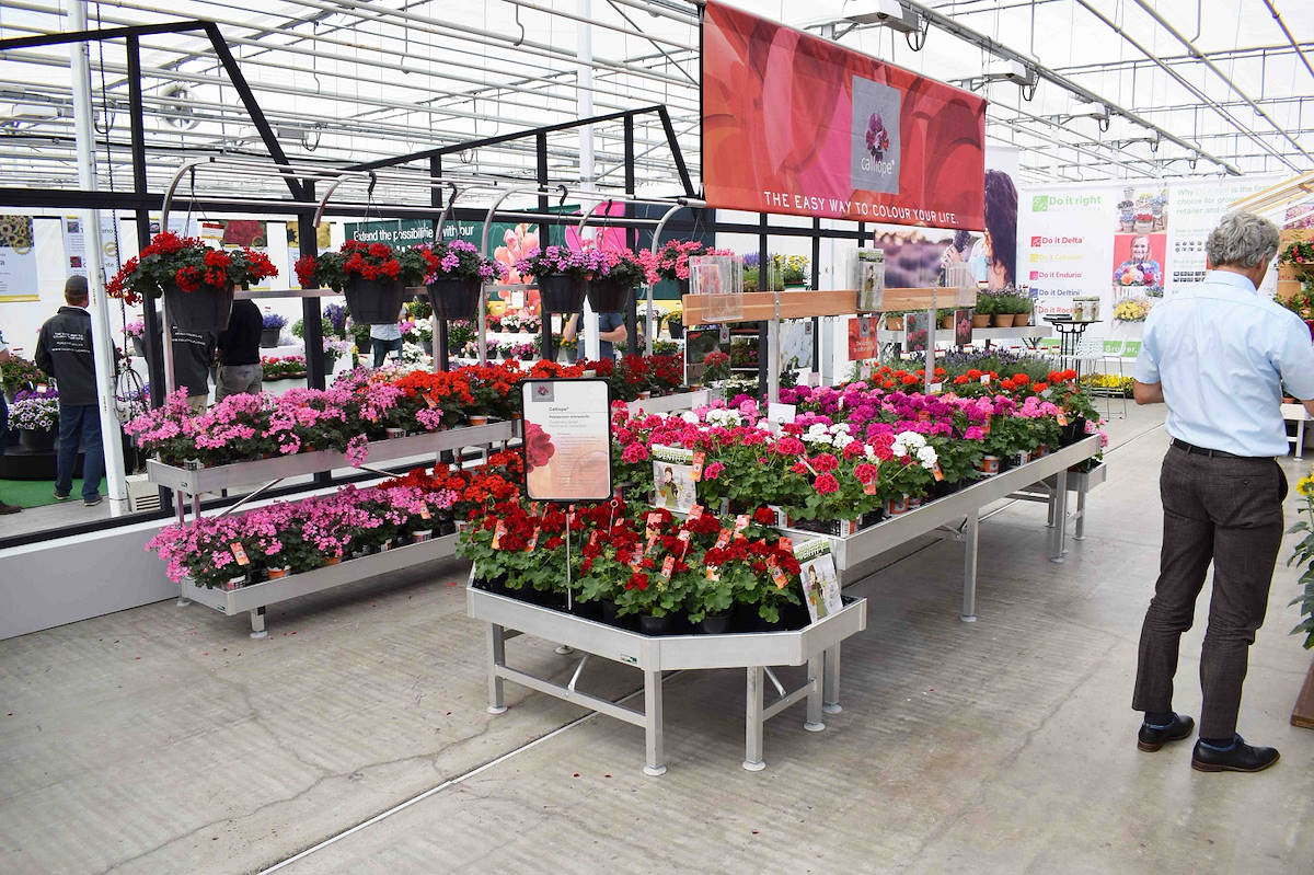 Выставочная концепция