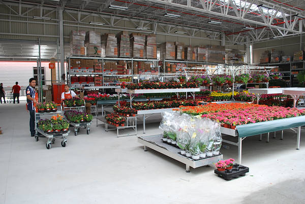 Gallery Garden Center Design