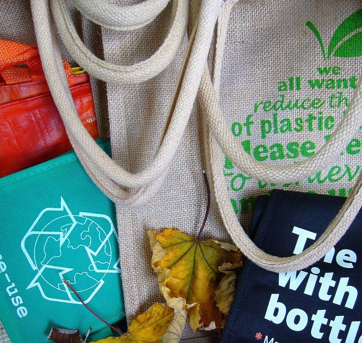 Зеленые лидеры – 15/46