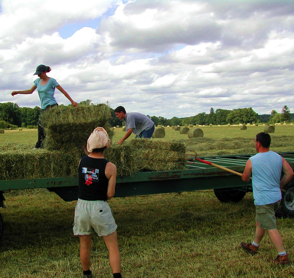 Изменения в образовании – 1/46