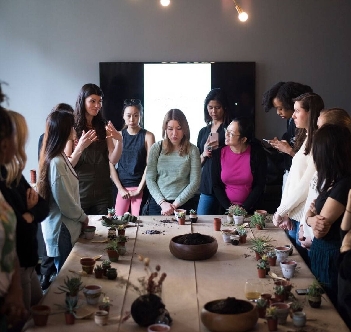 Сообщество культивации - 29/46