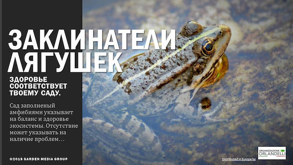 GARDEN TRENDS REPORT 2020-   третья часть