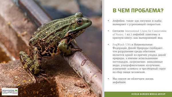 GARDEN TRENDS REPORT 2020-   третья часть