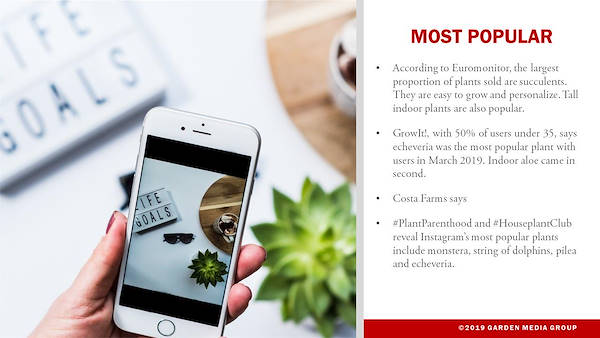 Garden trends report 2020 - Part three