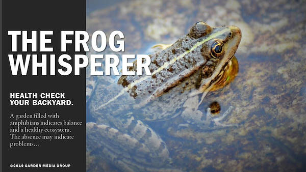 Garden trends report 2020 - Part three