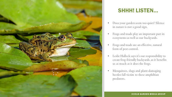 Garden trends report 2020 - Part three