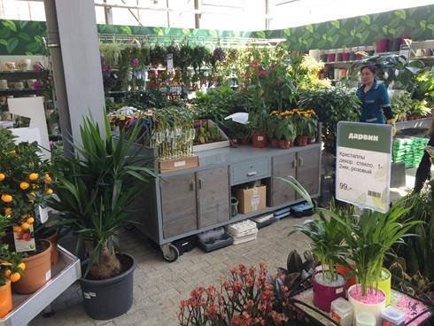 Grand opening of the new Garden Center Darwin