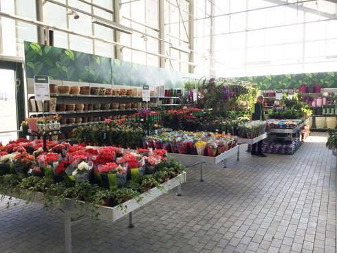 Grand opening of the new Garden Center Darwin