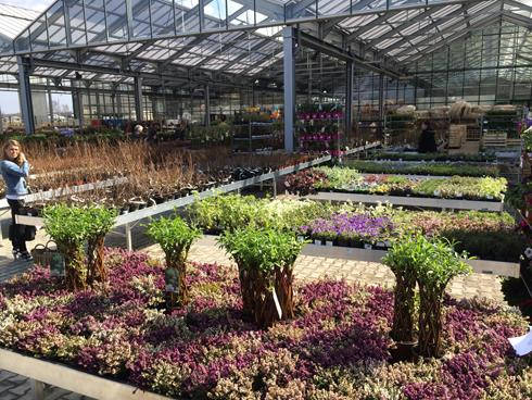 Grand opening of the new Garden Center Darwin