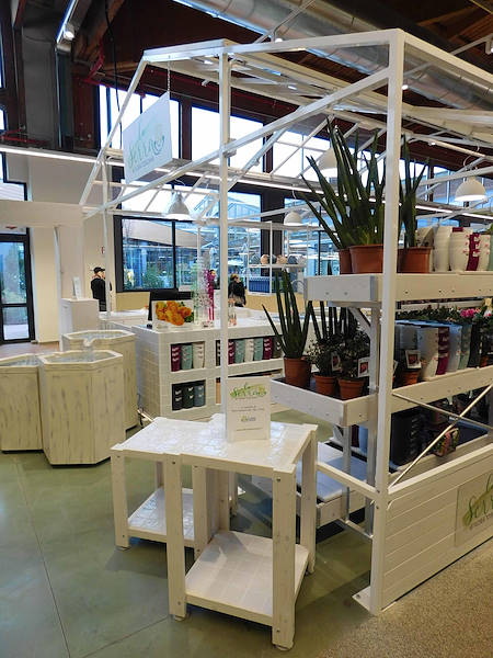 Green is Cool at FICO