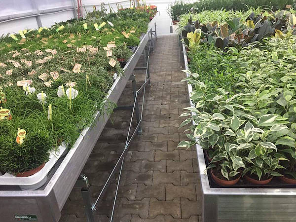 Greenville обновляется со столами для производства