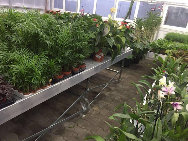 Greenville обновляется со столами для производства