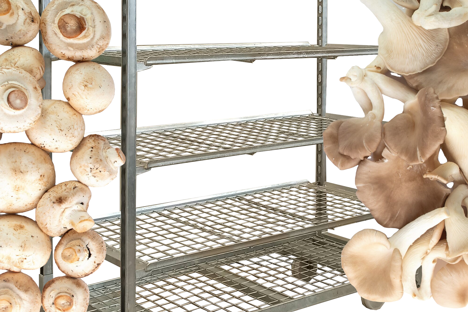 Grid carts for growing mushrooms indoors