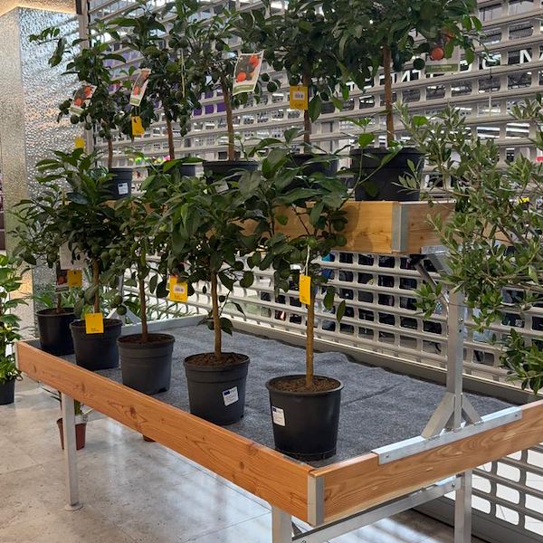 Gurt Flora chooses Orlandelli furniture for its impressive store in Kyiv