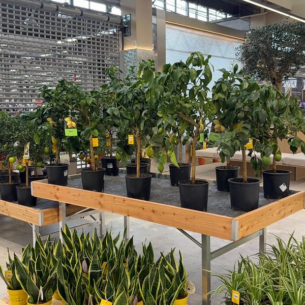 Gurt Flora chooses Orlandelli furniture for its impressive store in Kyiv