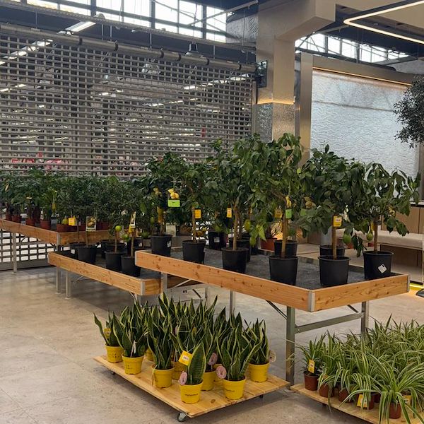 Gurt Flora chooses Orlandelli furniture for its impressive store in Kyiv