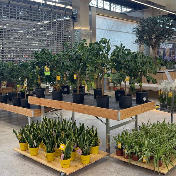 Gurt Flora chooses Orlandelli furniture for its impressive store in Kyiv
