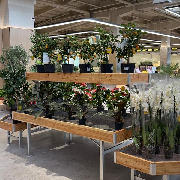 Gurt Flora выбирает мебель Orlandelli для своего внушительного магазина в Киеве