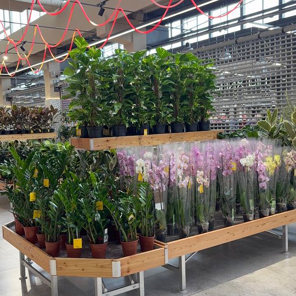 Gurt Flora выбирает мебель Orlandelli для своего внушительного магазина в Киеве