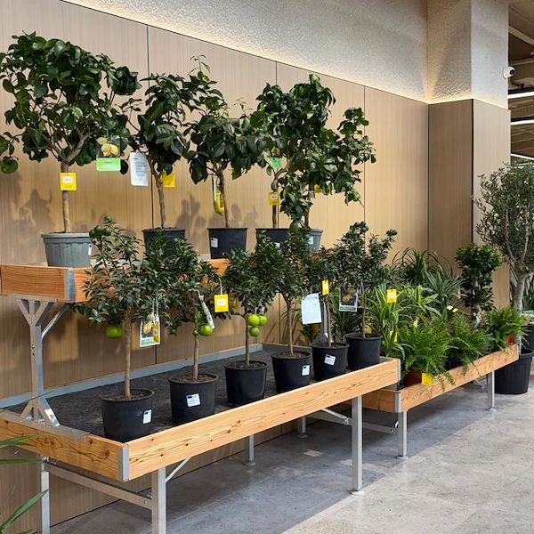 Gurt Flora выбирает мебель Orlandelli для своего внушительного магазина в Киеве