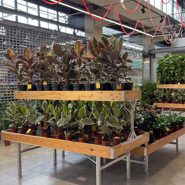 Gurt Flora выбирает мебель Orlandelli для своего внушительного магазина в Киеве