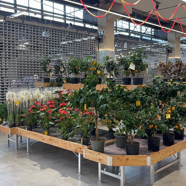 Gurt Flora выбирает мебель Orlandelli для своего внушительного магазина в Киеве