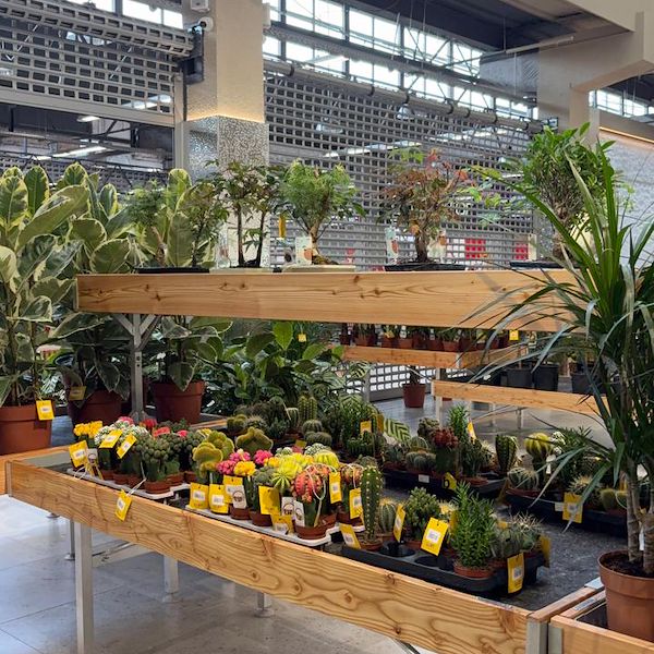 Gurt Flora выбирает мебель Orlandelli для своего внушительного магазина в Киеве
