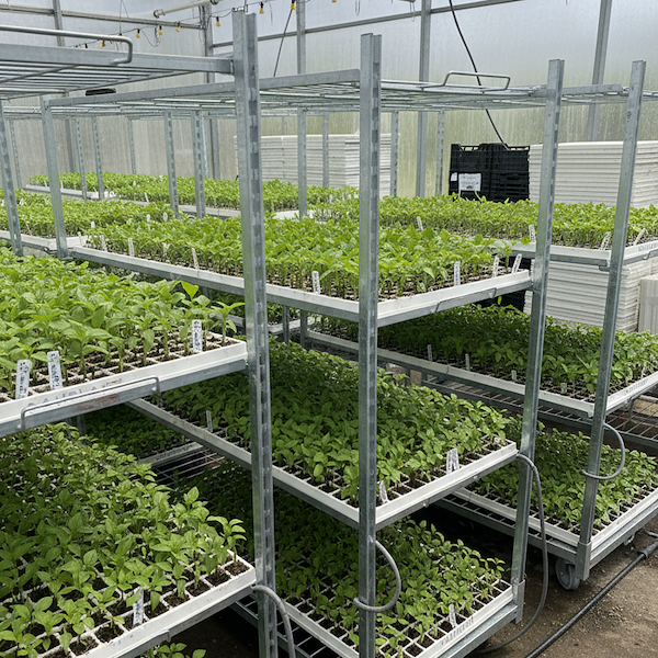 Сетчатая тележка HortiPro