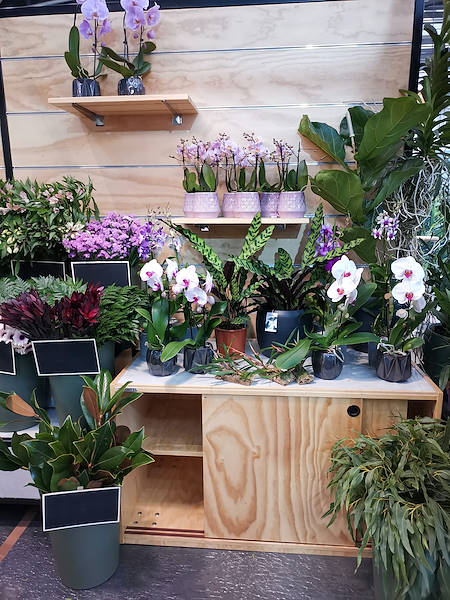 Iberflora 2021: откройте для себя стенд Орланделли