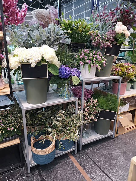 Iberflora 2021: откройте для себя стенд Орланделли