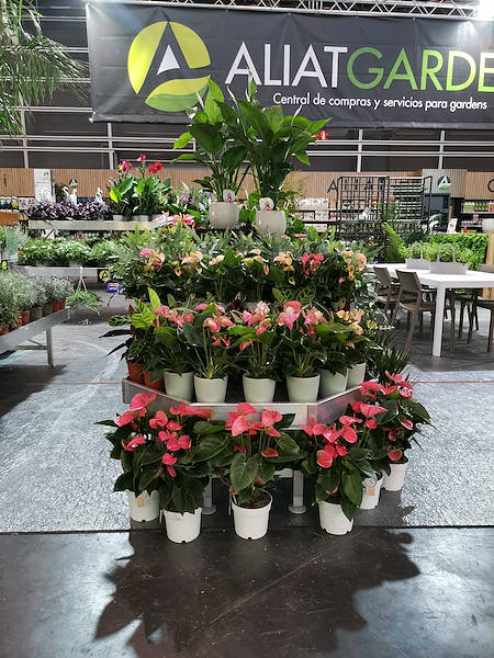 Iberflora 2021: откройте для себя стенд Орланделли