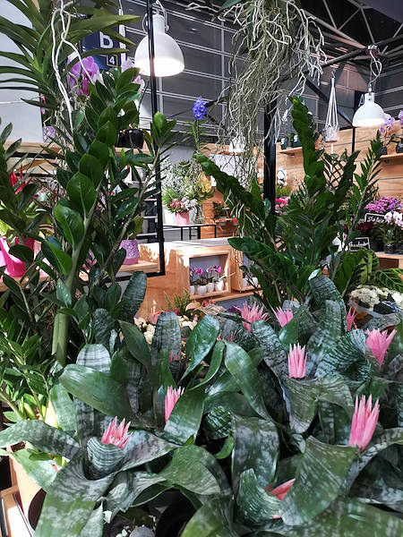 Iberflora 2021: откройте для себя стенд Орланделли