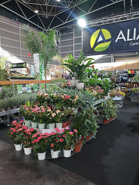 Iberflora 2021: откройте для себя стенд Орланделли