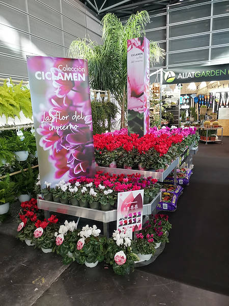 Iberflora 2021: откройте для себя стенд Орланделли