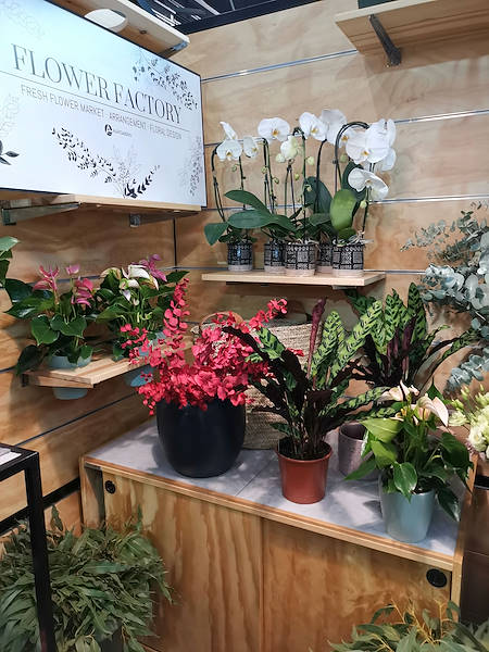 Iberflora 2021: откройте для себя стенд Орланделли