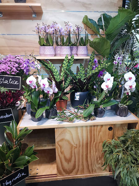 Iberflora 2021: откройте для себя стенд Орланделли