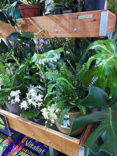 Iberflora 2021: откройте для себя стенд Орланделли