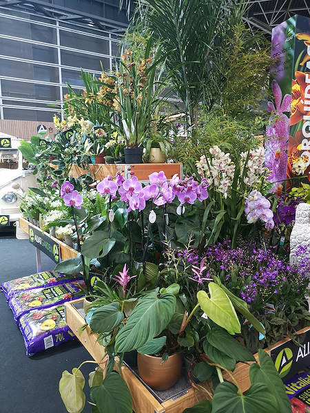 Iberflora 2021: откройте для себя стенд Орланделли